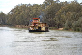 Emmylou Paddle Steamer - Lismore Accommodation 1