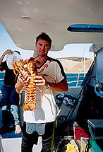 Temptation Sailing - Lismore Accommodation 3
