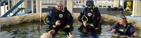 Scuba World - Lismore Accommodation 2