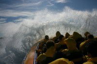 Jetboating Sydney - Lismore Accommodation 1