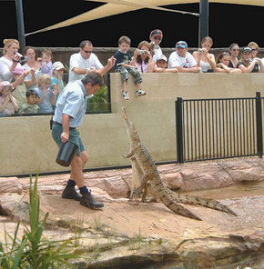 Symbio Wildlife Gardens - Lismore Accommodation 3