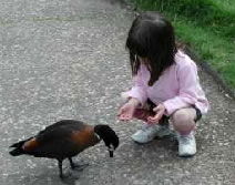 Urimbirra Wildlife Park - Lismore Accommodation 3