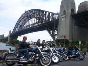 A Wild Ride - Lismore Accommodation 1