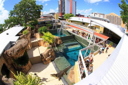 Crocosaurus Cove - Lismore Accommodation 1