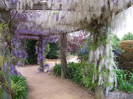 Abingdon Miniature Village - Lismore Accommodation 0