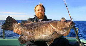 Bravo Fishing Charters - Lismore Accommodation 0
