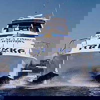 Sunshine Coast Fishing Charters - Lismore Accommodation 0