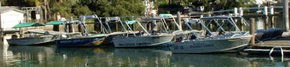 Brooklyn Central Boat Hire & General Store - Lismore Accommodation 1