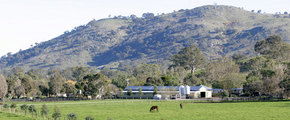 Blue Gum Farm - Lismore Accommodation 1