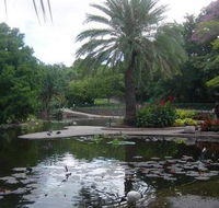 Brisbane City Botanic Gardens - Lismore Accommodation