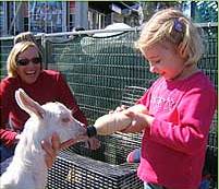 The Sun Herald Sydney Family Show - Lismore Accommodation 2