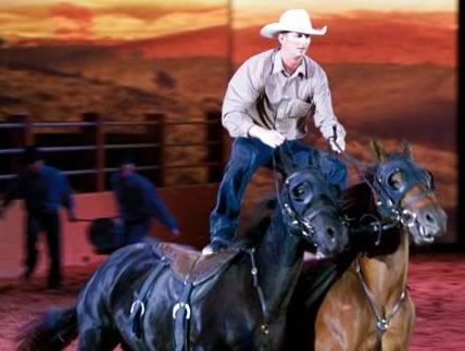 Australian Outback Spectacular - Lismore Accommodation 1