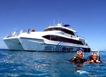 Silver Swift - Lismore Accommodation 0