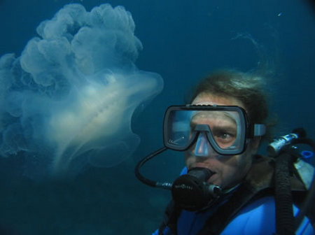 Silver Swift - Lismore Accommodation 2