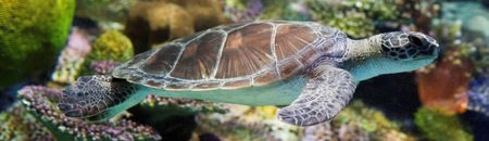 Melbourne Aquarium - Lismore Accommodation 1