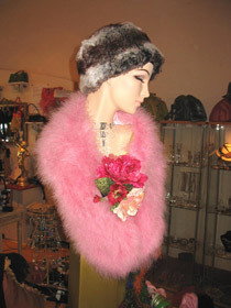 SavvyShopTours - Lismore Accommodation 2