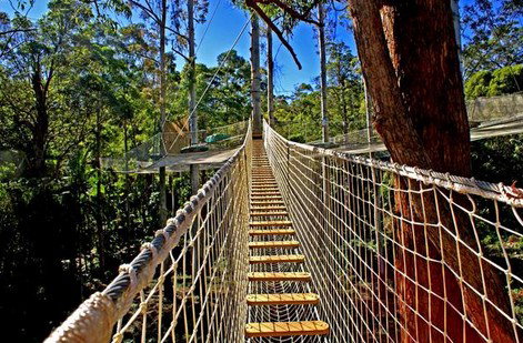 FreemanX Experience - Lismore Accommodation 2