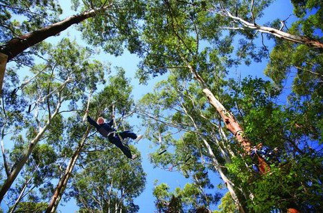 FreemanX Experience - Lismore Accommodation 5