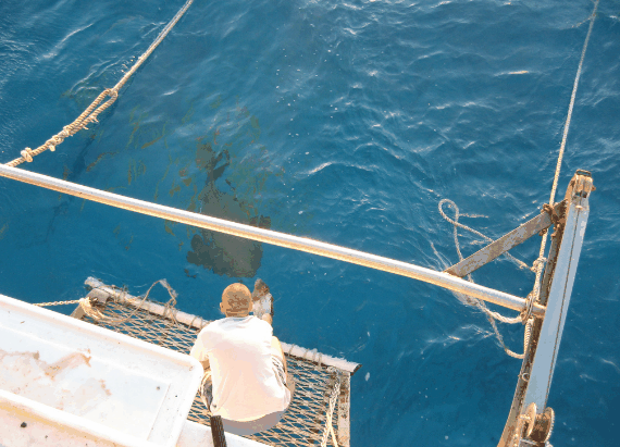 Carlo Fishing Charters - Lismore Accommodation 4