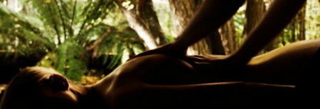 Salus Spa At The Lake House - Lismore Accommodation 4