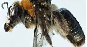 Perth City WA Lismore Accommodation