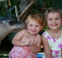 Dolphin Marine Magic - Lismore Accommodation