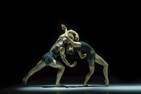 Sydney Dance Company - Lismore Accommodation 0