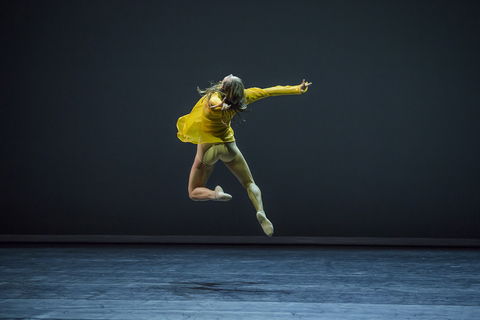 Sydney Dance Company - Lismore Accommodation 1