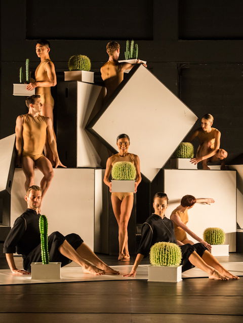 Sydney Dance Company - Lismore Accommodation 3