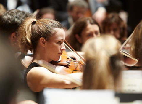 Sydney Symphony Orchestra - Lismore Accommodation 3