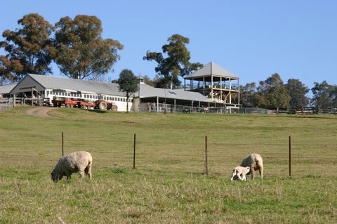 Calmsley Hill City Farm - Lismore Accommodation 3