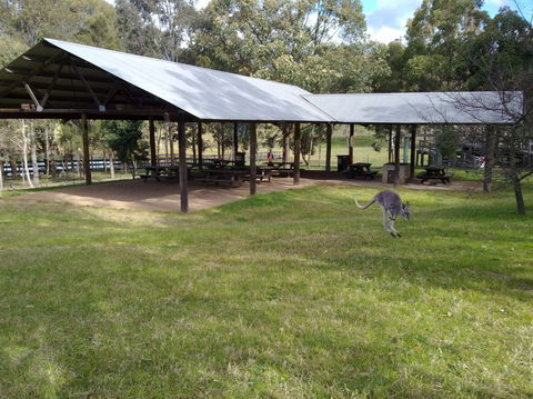 Calmsley Hill City Farm - Lismore Accommodation 5