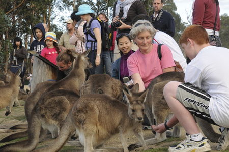 East Coast Natureworld - Lismore Accommodation 4