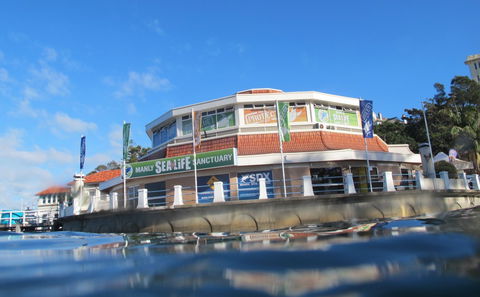 Manly SEA LIFE Sanctuary - Lismore Accommodation 2