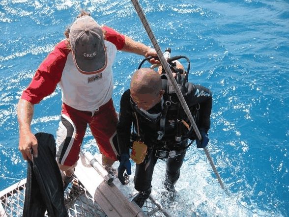 Big Cat Reality - Lismore Accommodation 2