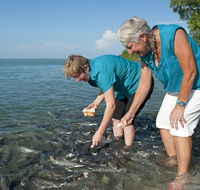 Aquascene Fish Feeding Sanctuary - Lismore Accommodation