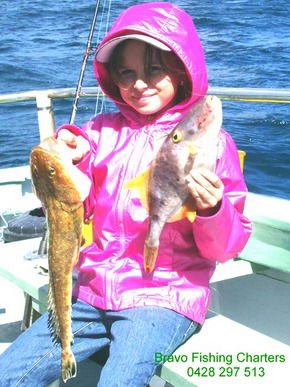 Bravo Fishing Charters - Lismore Accommodation 5