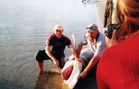 True Blue Fishing Charters - Lismore Accommodation 1