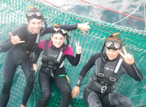 Dolphin Swim Australia - Lismore Accommodation 7