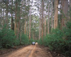 Boranup Drive - Lismore Accommodation 0
