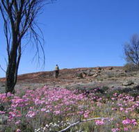 Talgomine Reserve - Lismore Accommodation