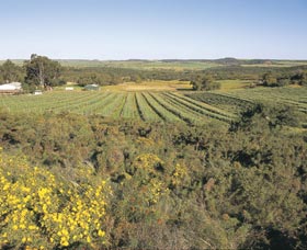 Chapman Valley Scenic Drive - Lismore Accommodation 0