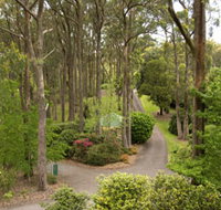 Mount Lofty Botanic Garden - Lismore Accommodation