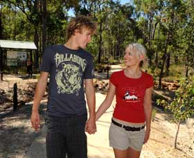 Crooked Brook Forest - Lismore Accommodation 0