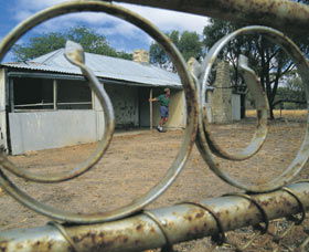 Waeel WA Lismore Accommodation