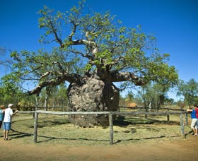 Pigeon Heritage Trail - Lismore Accommodation 0