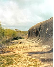Totadgin Dam Reserve - Lismore Accommodation 0