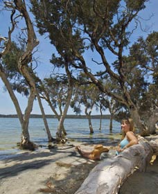Stokes National Park - Lismore Accommodation 0