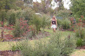 The Mythic Mazes - Lismore Accommodation 0