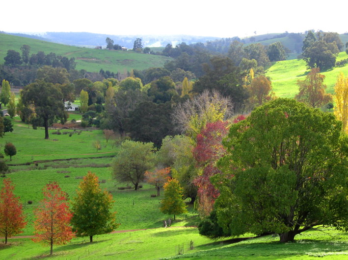 Balingup WA Lismore Accommodation